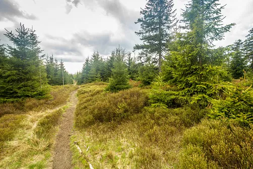 Idziemy już ponad dwie godziny od wyjścia z Bielic.