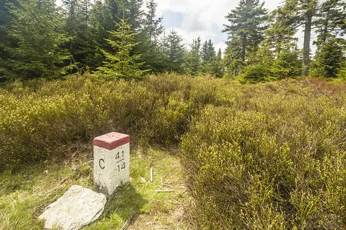 Przy tym słupku granicznym musimy odbić w prawo, aby wejść na Smrek Trójkrajny.