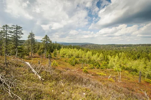Kilka kolejnych zdjęć to widoki z Bruska.