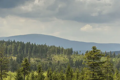 Rudawiec - szczyt w Górach Złotych na granicy z Czechami