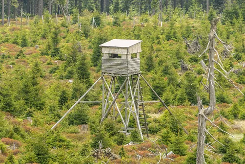 Rudawiec - szczyt w Górach Złotych na granicy z Czechami