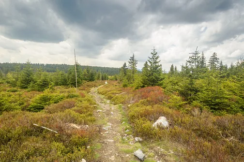 Po zejściu z Bruska kontynuujemy wędrówkę.