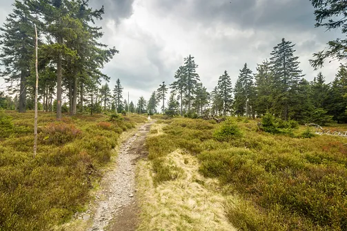 Rudawiec - szczyt w Górach Złotych na granicy z Czechami