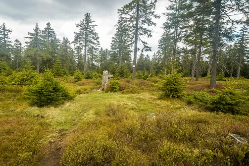 Postawna - 1117 metrów n.p.m.