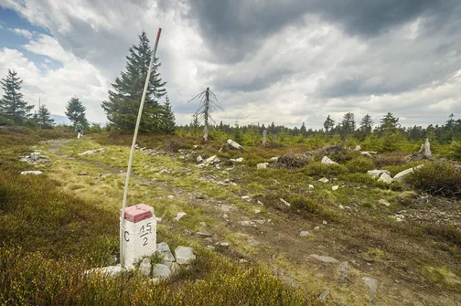A w tym miejscu wchodzimy ponownie na ścieżkę graniczną.