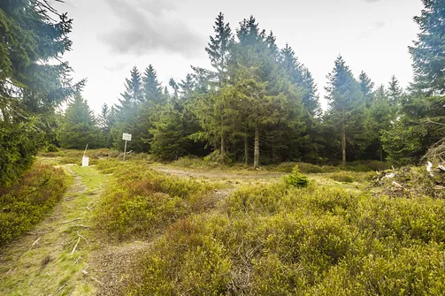 Dokładnie cztery godziny od rozpoczęcia wędrówki mijamy ostatni zakręt granicy pod kątem prostym. Za godzinę będziemy na Rudawcu.
