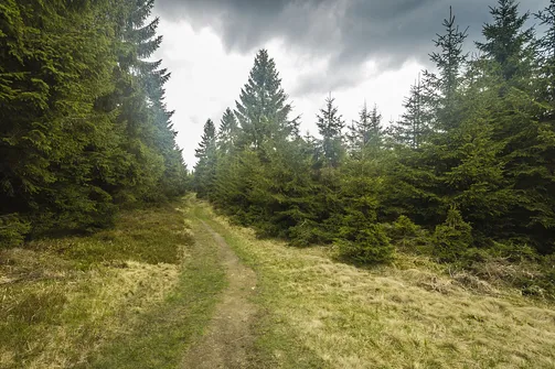 Nadciągają deszczowe chmury.