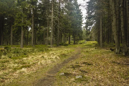 Rudawiec - szczyt w Górach Złotych na granicy z Czechami