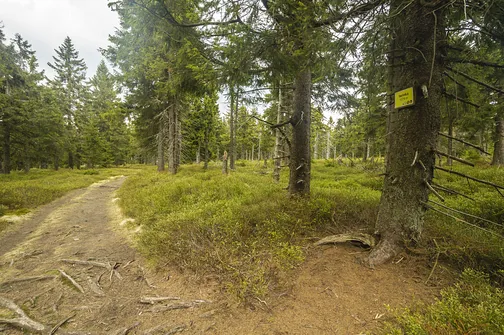 Iwinka - 1079 metrów n.p.m.