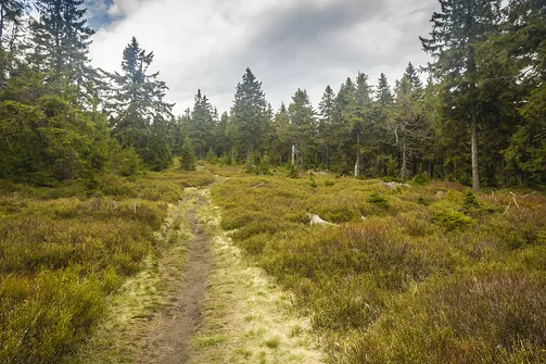 Do Rudawca jeszcze tylko 5 minut marszu.
