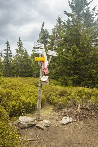 Rudawiec (1106 m n.p.m.)