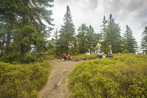 Rudawiec - szczyt w Górach Złotych na granicy z Czechami