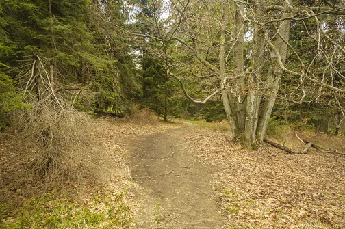 Rudawiec - szczyt w Górach Złotych na granicy z Czechami