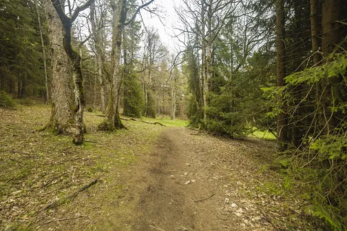 Rudawiec - szczyt w Górach Złotych na granicy z Czechami