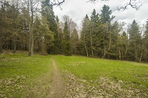 Rudawiec - szczyt w Górach Złotych na granicy z Czechami