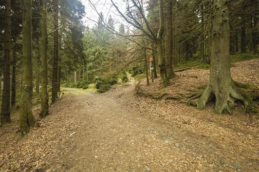 Rudawiec - szczyt w Górach Złotych na granicy z Czechami