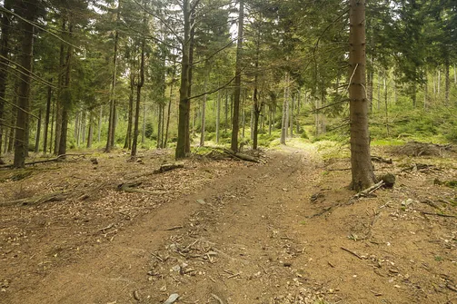 Rudawiec - szczyt w Górach Złotych na granicy z Czechami