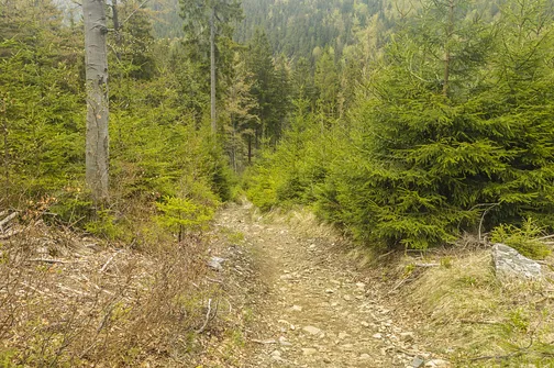 Rudawiec - szczyt w Górach Złotych na granicy z Czechami