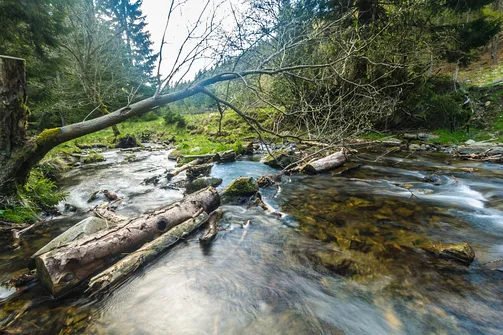 Rudawiec - szczyt w Górach Złotych na granicy z Czechami