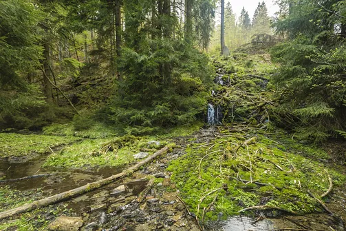 Rudawiec - szczyt w Górach Złotych na granicy z Czechami