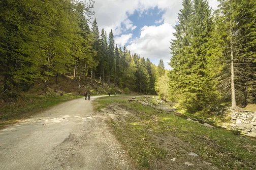 Rudawiec - szczyt w Górach Złotych na granicy z Czechami