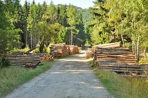 Wysoka Kopa - najwyższy szczyt Gór Izerskich