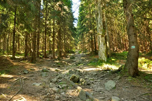 Wysoka Kopa - najwyższy szczyt Gór Izerskich