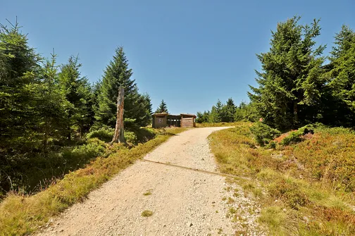 Wysoka Kopa - najwyższy szczyt Gór Izerskich