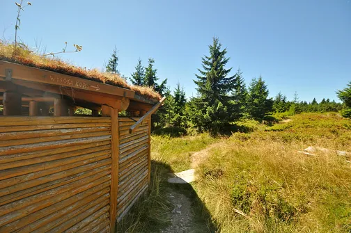 Wysoka Kopa - najwyższy szczyt Gór Izerskich