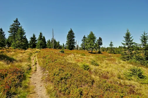 Wysoka Kopa - najwyższy szczyt Gór Izerskich