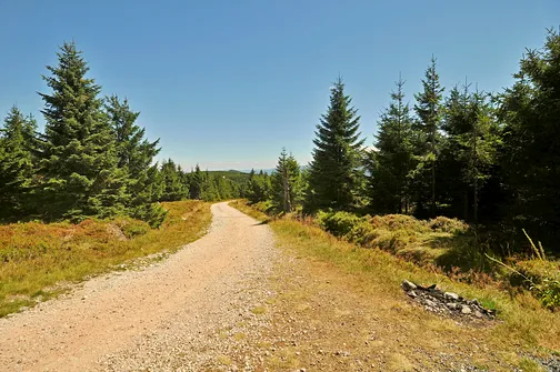 Wysoka Kopa - najwyższy szczyt Gór Izerskich