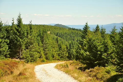 Wysoka Kopa - najwyższy szczyt Gór Izerskich
