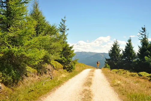 Wysoka Kopa - najwyższy szczyt Gór Izerskich