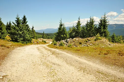 Wysoka Kopa - najwyższy szczyt Gór Izerskich