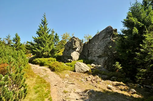 Wysoka Kopa - najwyższy szczyt Gór Izerskich