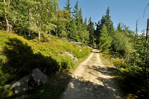 Wysoka Kopa - najwyższy szczyt Gór Izerskich