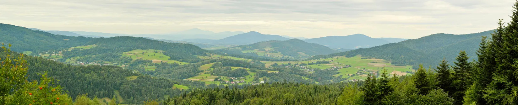 Panorama z polany Cyrla na zboczu Mogielicy w kierunku zachodnim. Najwyższy szczyt w oddali to Babia Góra (odległość 54 kilometry).