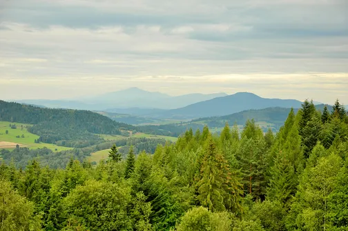 Mogielica - najwyższy szczyt w Beskidzie Wyspowym
