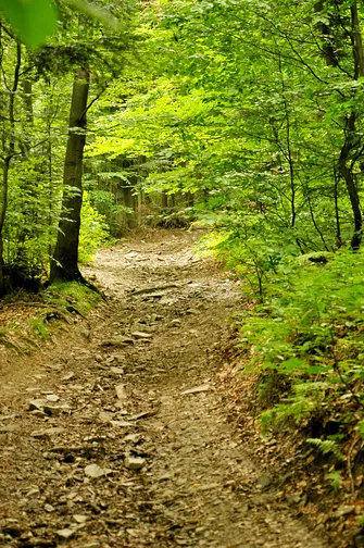 Mogielica - najwyższy szczyt w Beskidzie Wyspowym