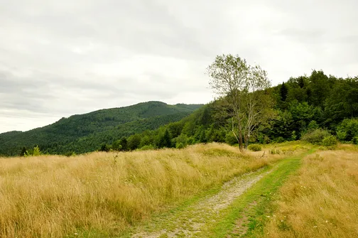 Mogielica - najwyższy szczyt w Beskidzie Wyspowym