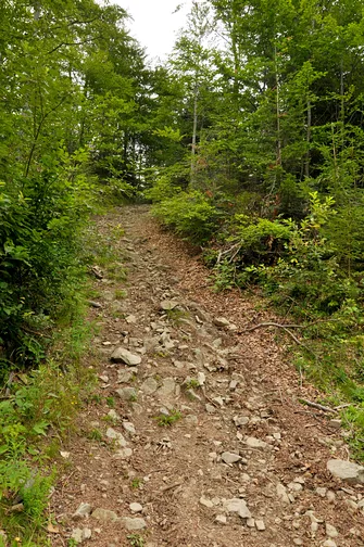 Mogielica - najwyższy szczyt w Beskidzie Wyspowym