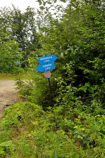 Mogielica - najwyższy szczyt w Beskidzie Wyspowym