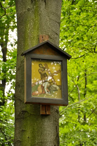 Mogielica - najwyższy szczyt w Beskidzie Wyspowym