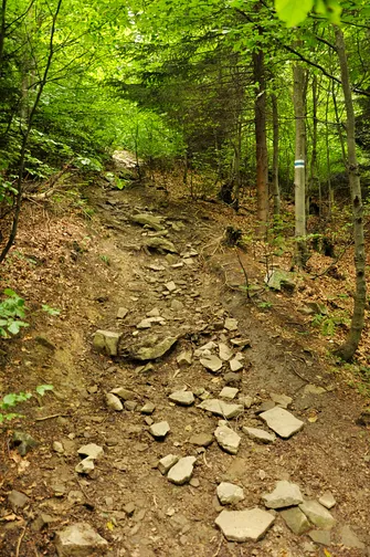 Mogielica - najwyższy szczyt w Beskidzie Wyspowym