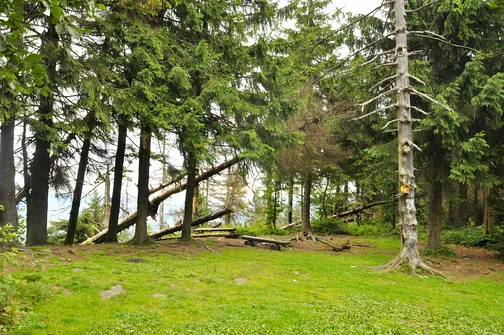 Mogielica - najwyższy szczyt w Beskidzie Wyspowym