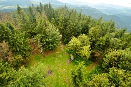 Mogielica - najwyższy szczyt w Beskidzie Wyspowym