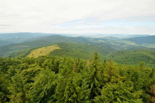 Mogielica - najwyższy szczyt w Beskidzie Wyspowym