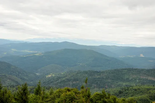 Mogielica - najwyższy szczyt w Beskidzie Wyspowym