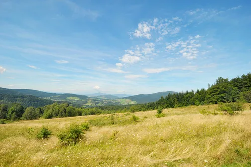 Mogielica - najwyższy szczyt w Beskidzie Wyspowym