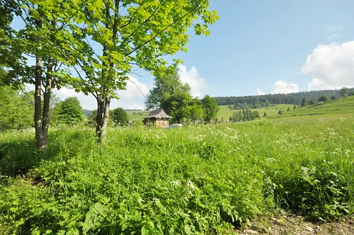 Radziejowa - szczyt Beskidu Sądeckiego z wieżą widokową